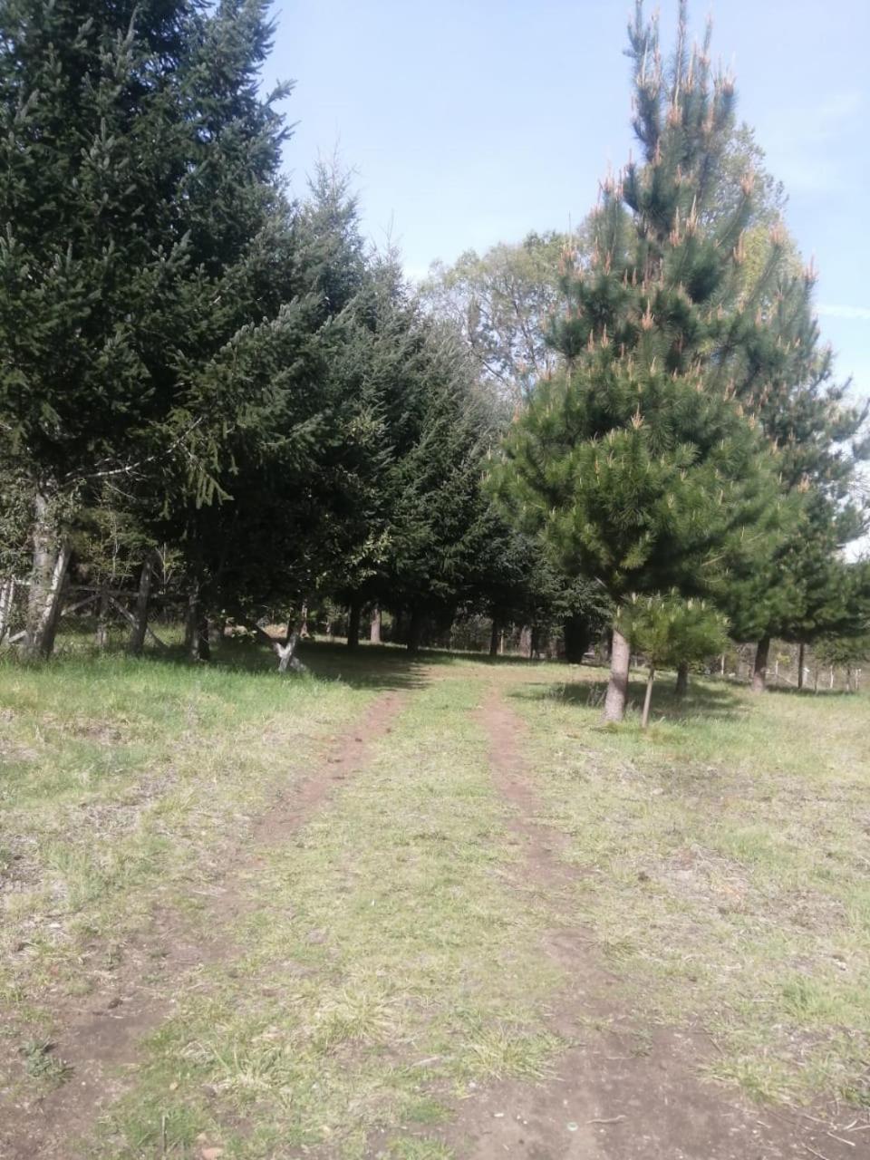Cabana May Pao, Para 3 En Melipeuco Cerca Del Parque Nacional Conguillio 외부 사진