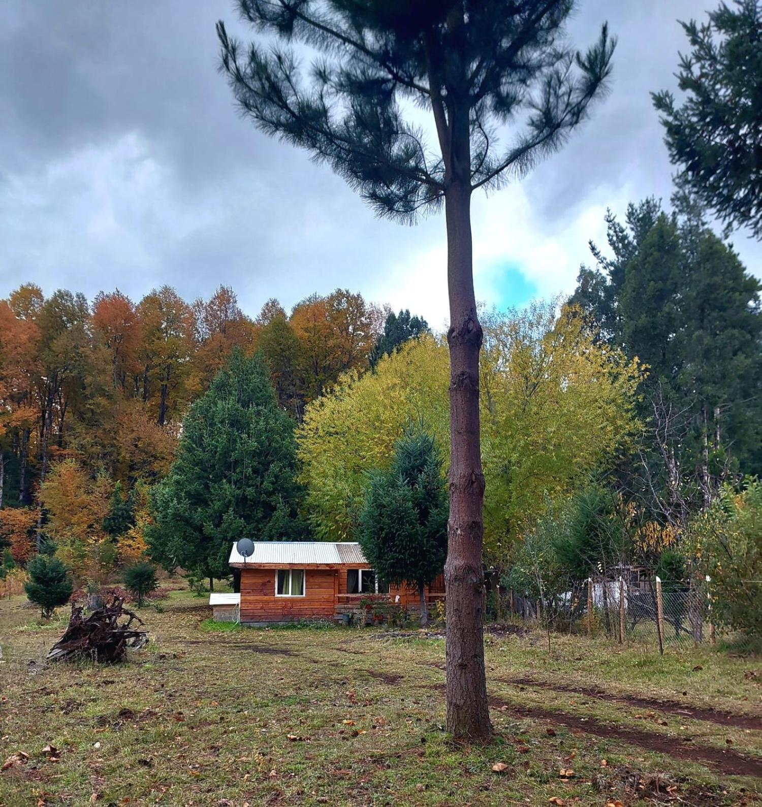 Cabana May Pao, Para 3 En Melipeuco Cerca Del Parque Nacional Conguillio 외부 사진